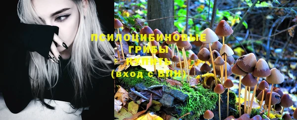 кокс Аркадак