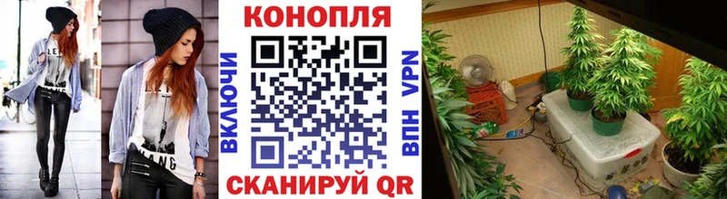 дарк нет какой сайт  Строитель  Конопля White Widow 